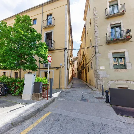 Bravissimo Rei Marti, In The Historic Centre ジローナ